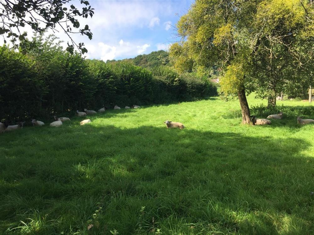 فيلا The Piggery Woolaston المظهر الخارجي الصورة